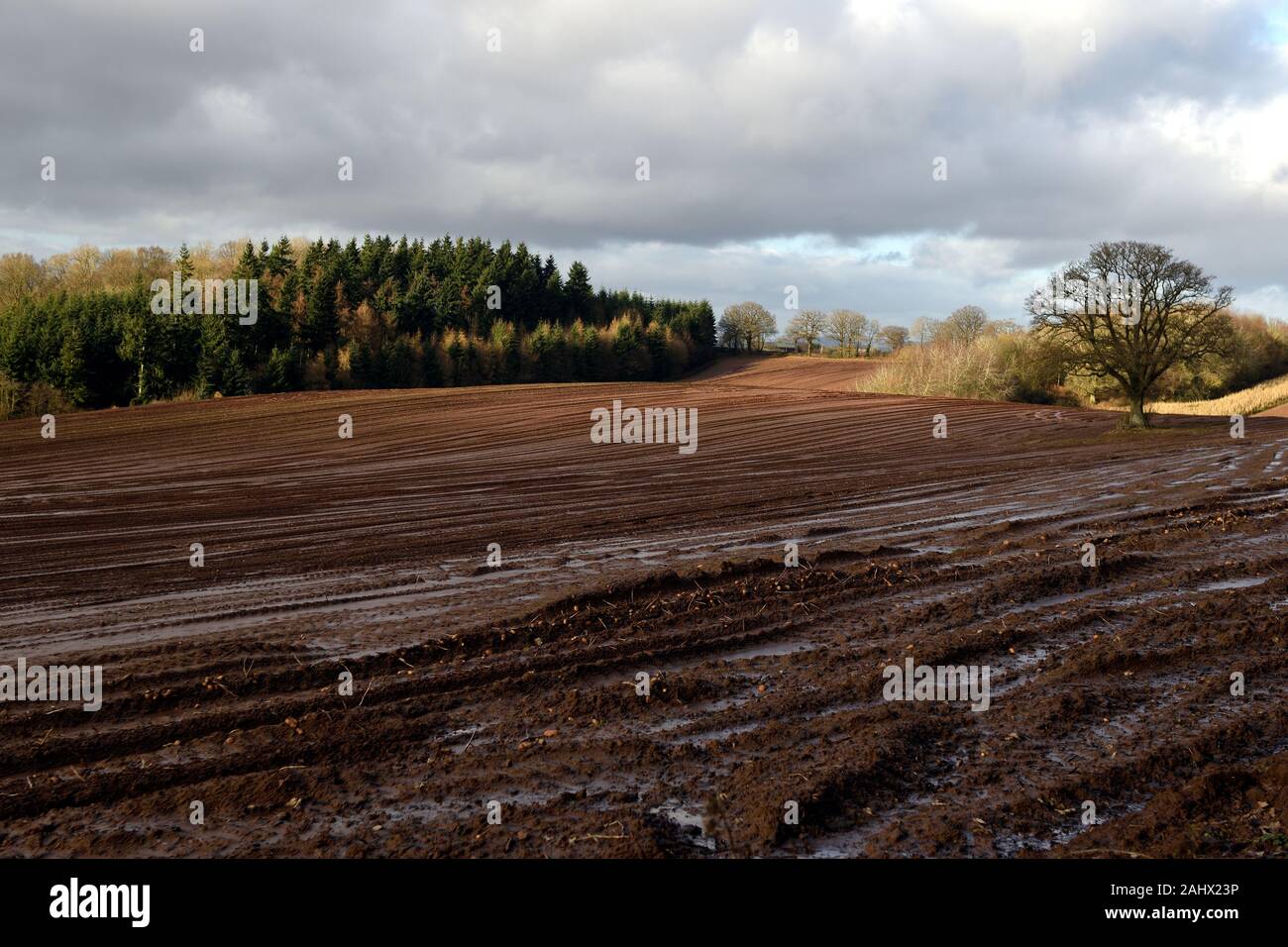 Sun breaking through onto ploughed muddy fields in Herefordshire Stock Photo