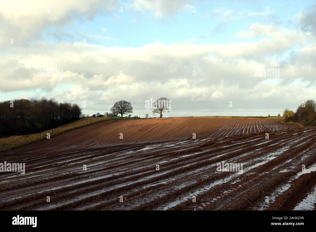 Sun breaking through onto ploughed muddy fields in Herefordshire Stock Photo