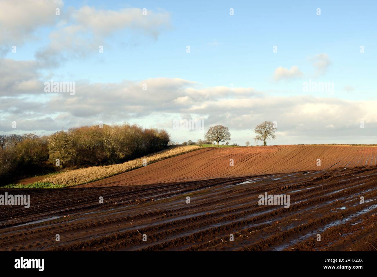 Sun breaking through onto ploughed muddy fields in Herefordshire Stock Photo