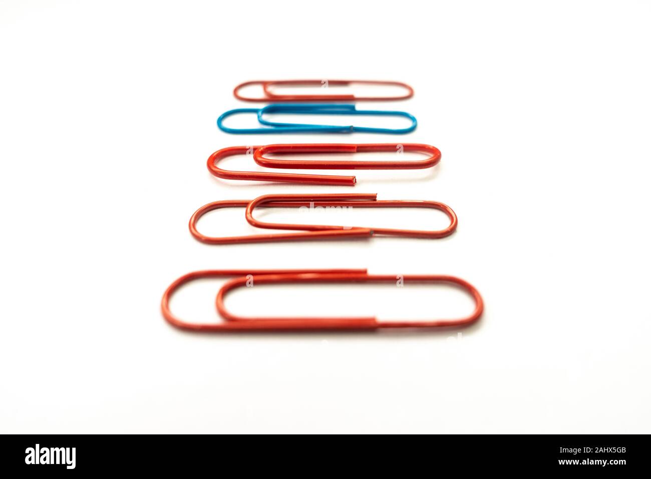 A blue paper clip amongst red paper clips stands out from the rest shot against a white background. Stock Photo