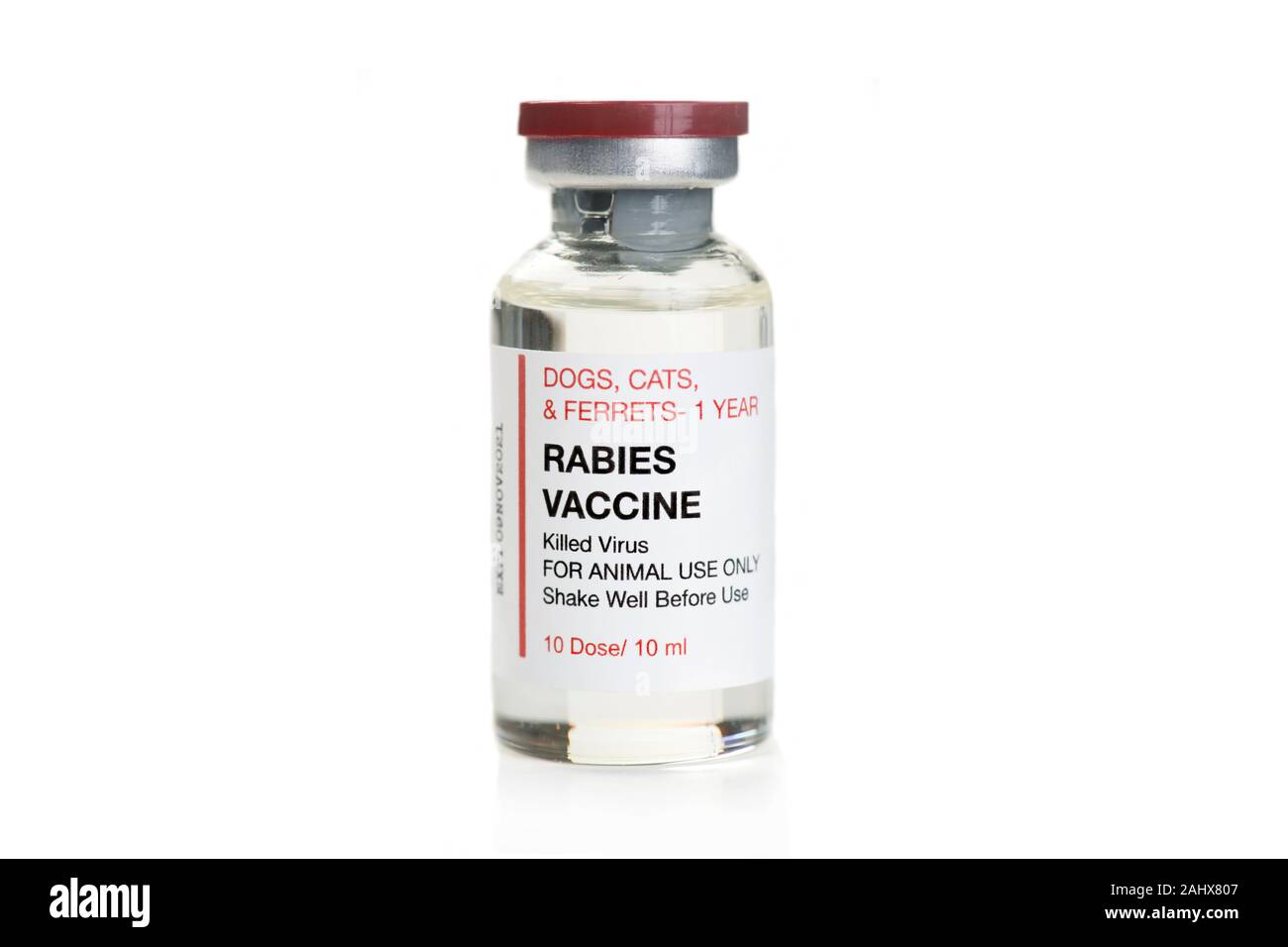 Rabies vaccine vial isolated on white background. Stock Photo