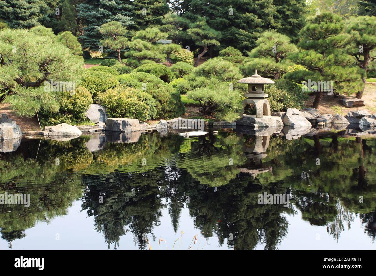 A Japanese style garden with a stone lantern and various cultivated evergreen trees next to a lake, with the landscape reflected in the water in Color Stock Photo