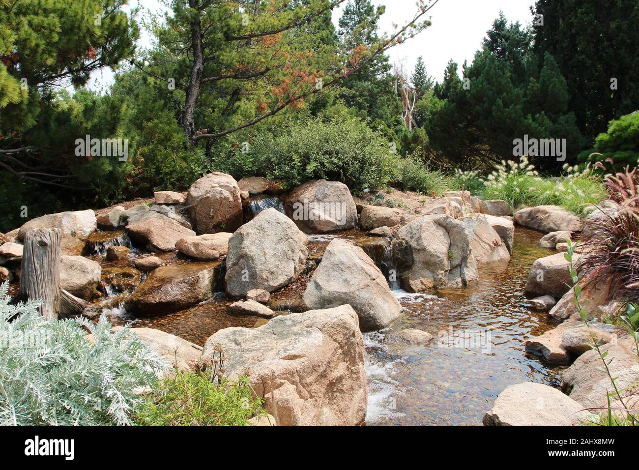 A group of small waterfalls tumbling over small boulders into a small, gently flowing stream, lined by trees, shrubs and grasses in Colorado, USA Stock Photo