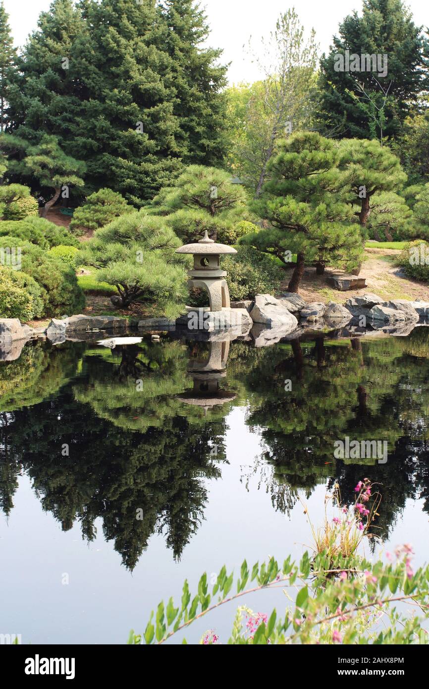 A Japanese style garden with a stone lantern and various cultivated evergreen trees next to a lake, with the landscape reflected in the water in Color Stock Photo