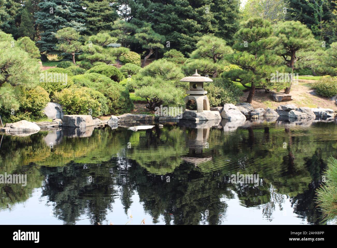 A Japanese style garden with a stone lantern and various cultivated evergreen trees next to a lake, with the landscape reflected in the water in Color Stock Photo