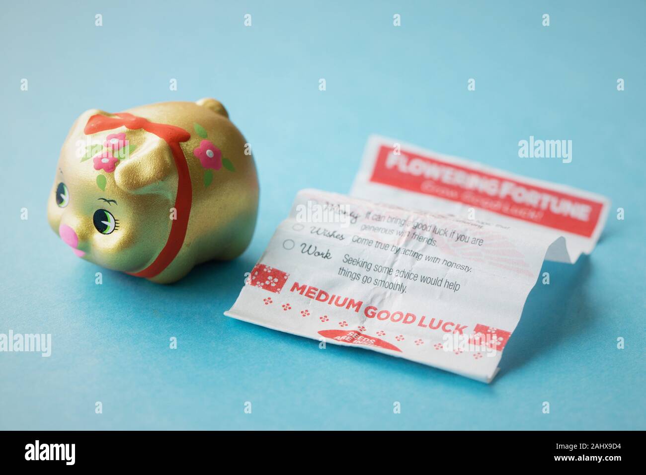 A japanese pig figurine filled with a fortune and seeds to plant for
