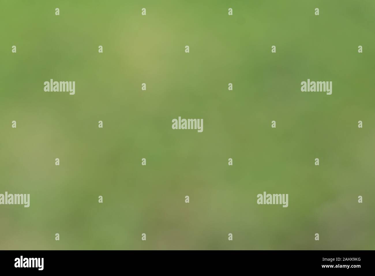 Abstract green nature hi-res stock photography and images - Alamy