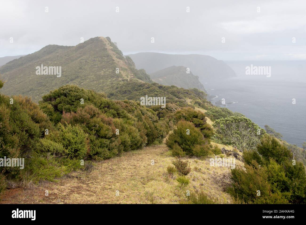 The misty cloud covered seaside cliff trail of the Te Paki Coastal Track in Northland, New Zealand. Stock Photo