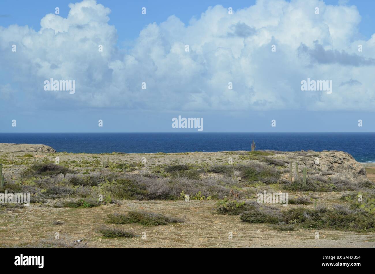 Aruba desert meets ocean Stock Photo Alamy