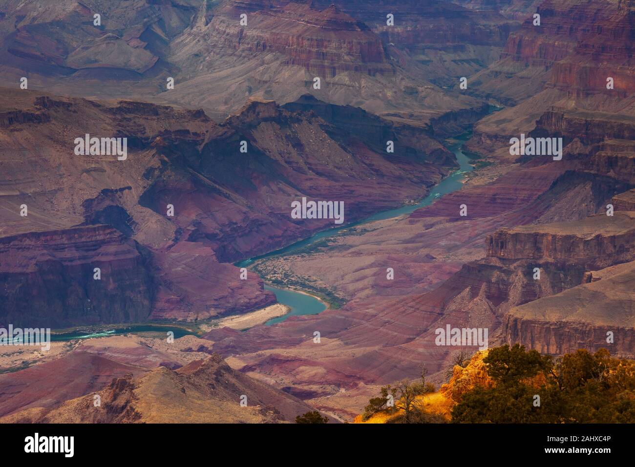View of the Colorado River in Grand Canyon National Park Stock Photo