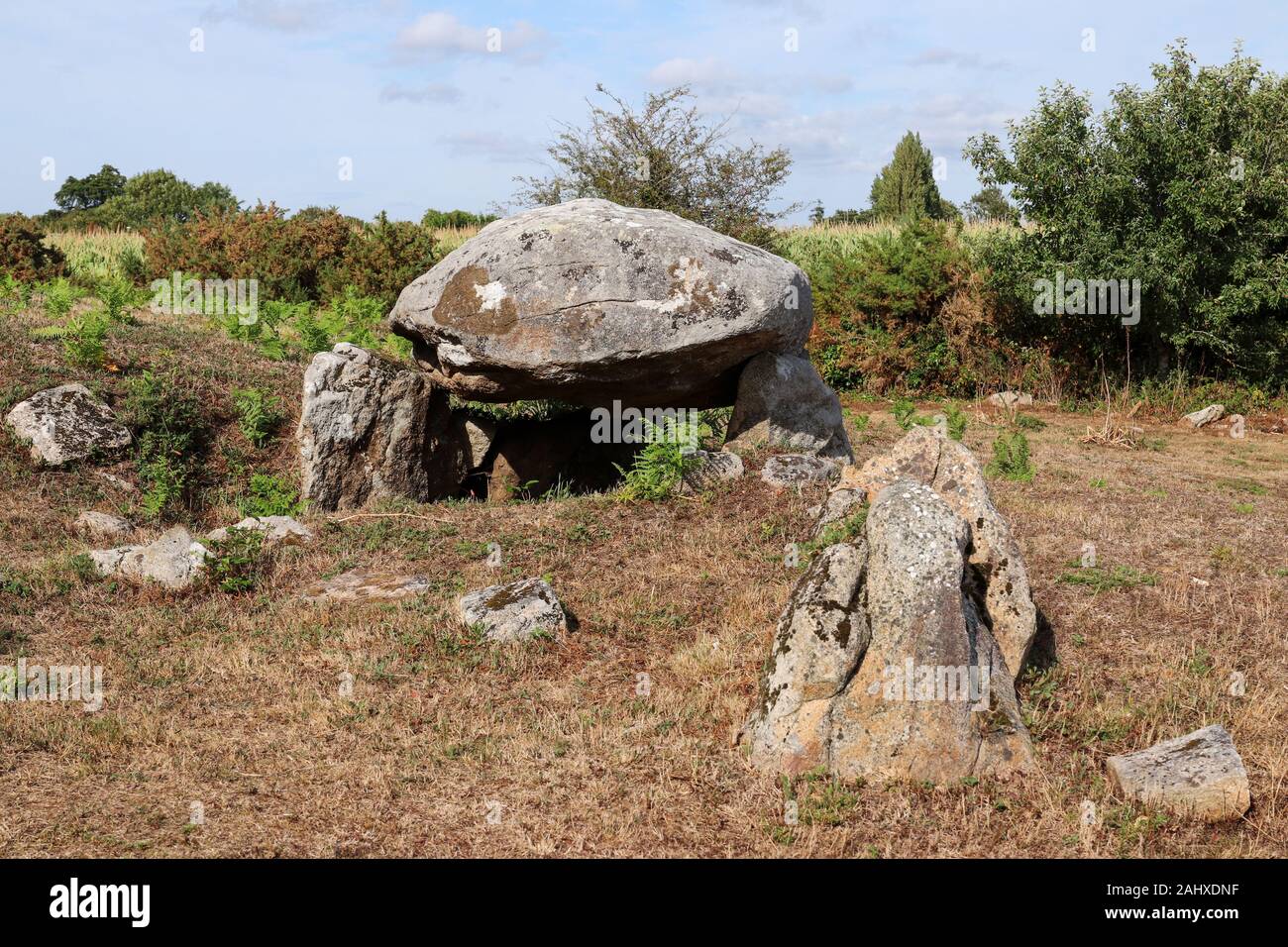 Dolmen Run-er-Sinzen near Erdeven, departement Morbihan, Brittany, France Stock Photo