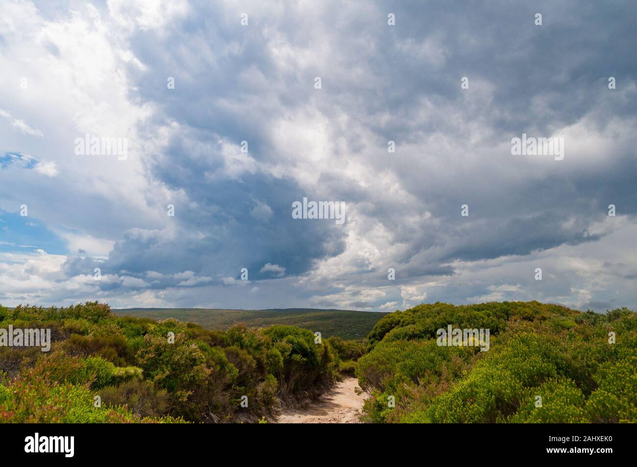 Hiking path in bushland with storm clouds in the sky. Nature ...