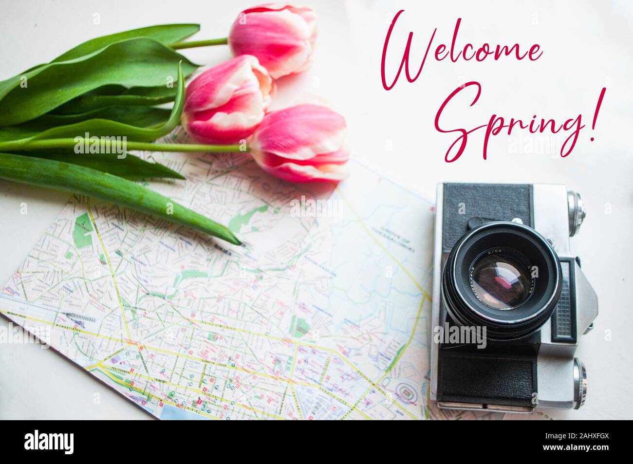 Flat lay of map, camera and tulips boquet. Travel concept. Stock Photo