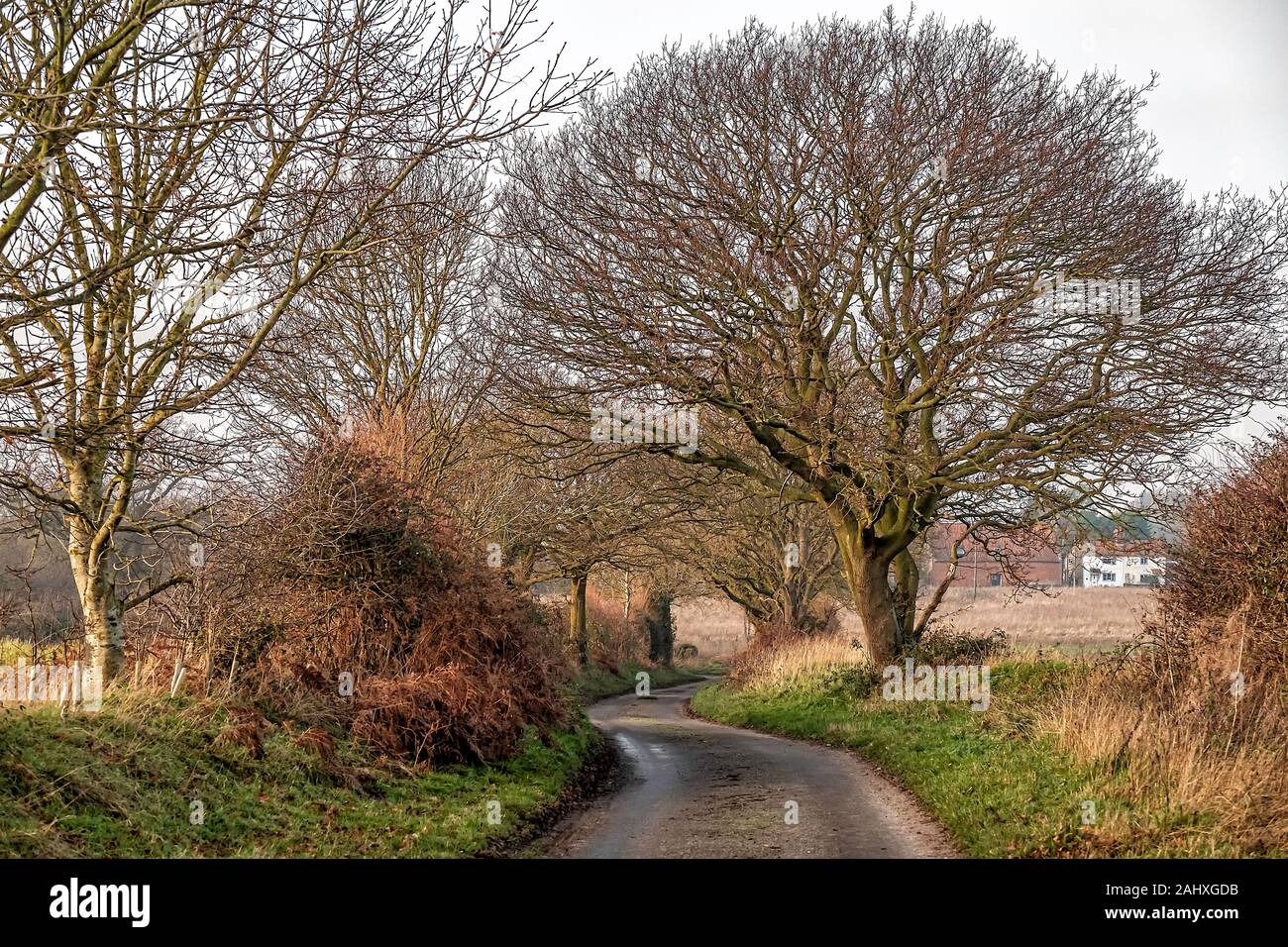 Holbrigg Lane, Kettlestone, Norfolk, UK Stock Photo Alamy