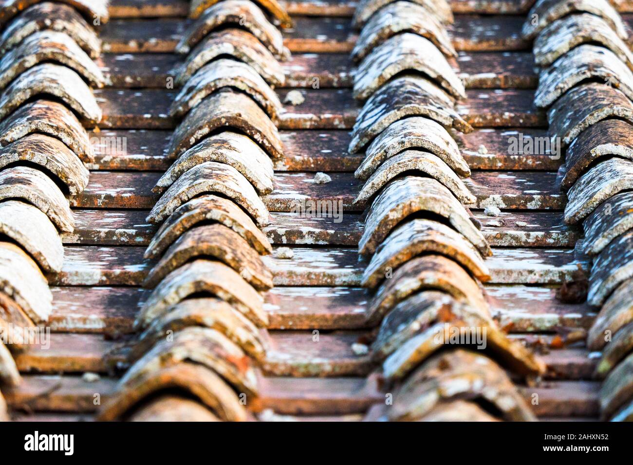 clay tile roof - Italy Stock Photo