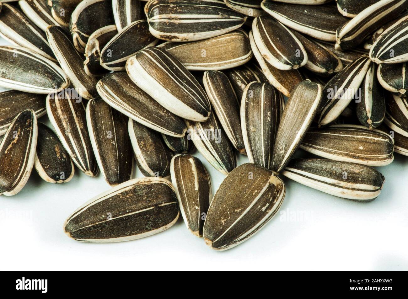 Raw sunflower seeds close up in shells white isolated Stock Photo Alamy