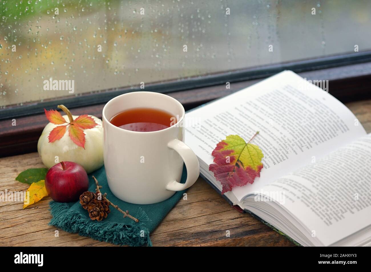 Cup Of Tea Near A Pumpkin And Book In A Rainy Day Stock Photo Alamy Cup Of Tea Near A Pumpkin And Book In A Rainy Day Stock Photo Alamy