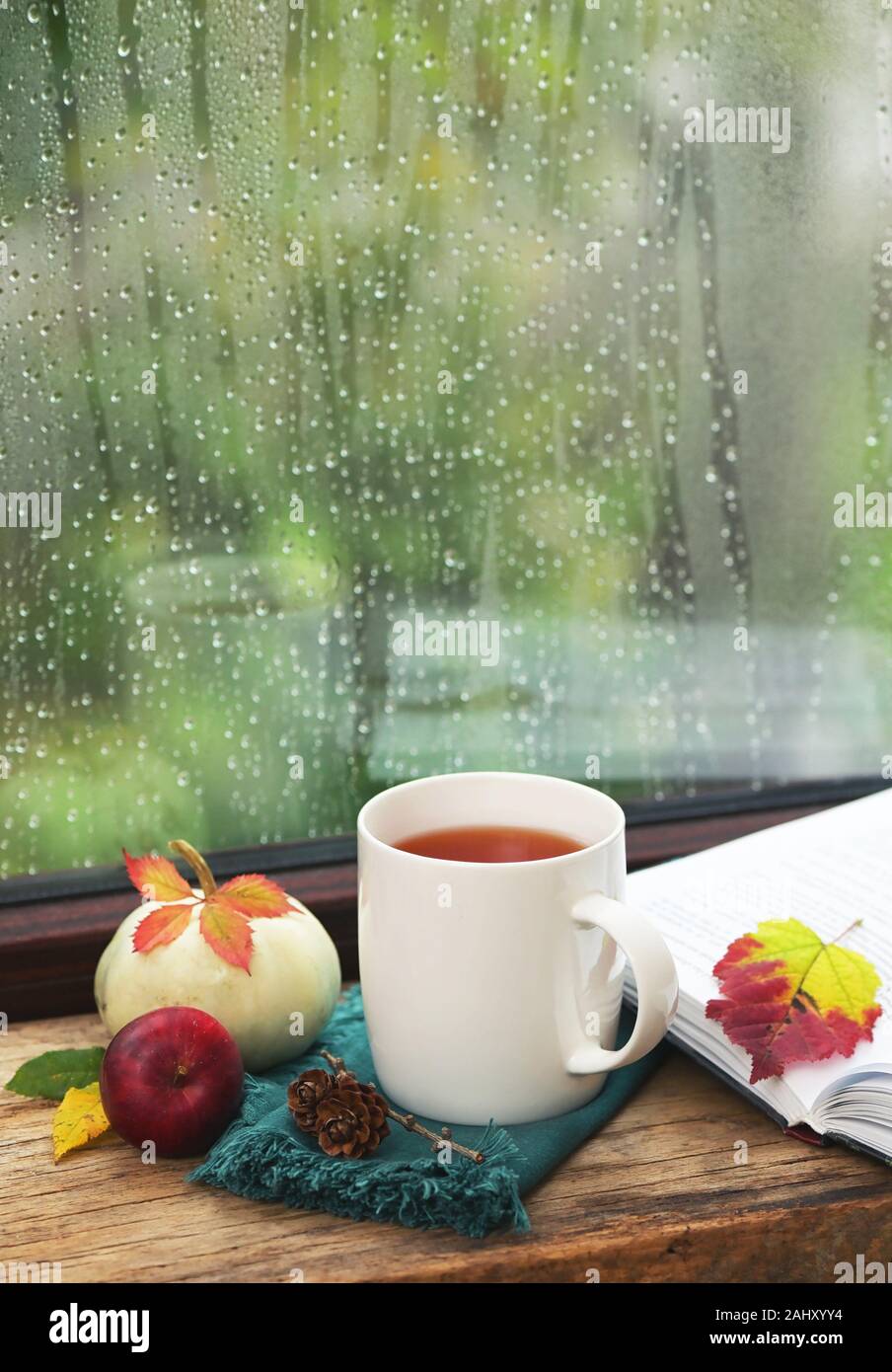 Cup Of Tea Near A Pumpkin And Book in A Rainy Day Stock Photo - Alamy