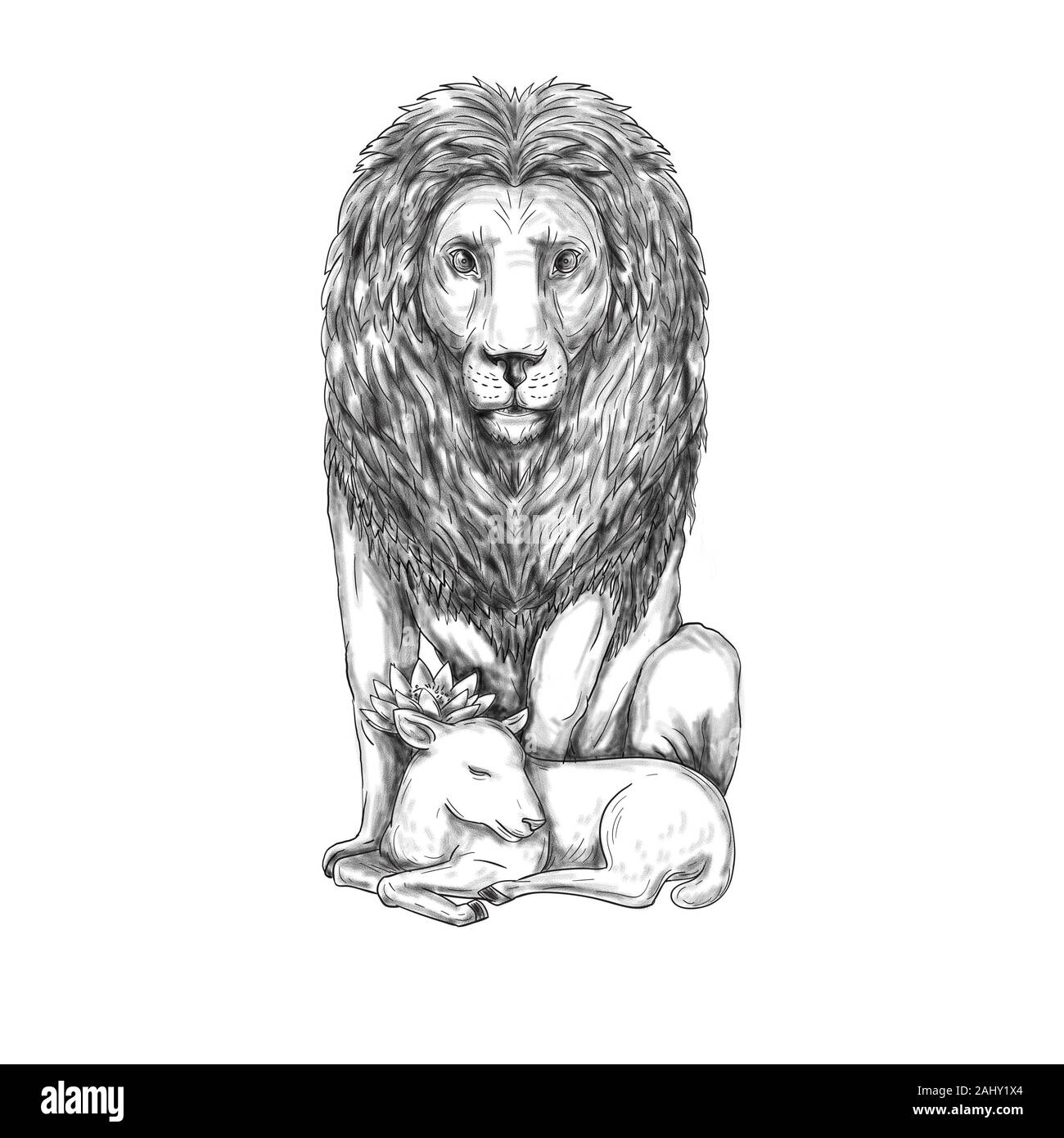 Tattoo style illustration of a lion watching over a sleeping lamb viewed from front set on isolated white background. Stock Photo