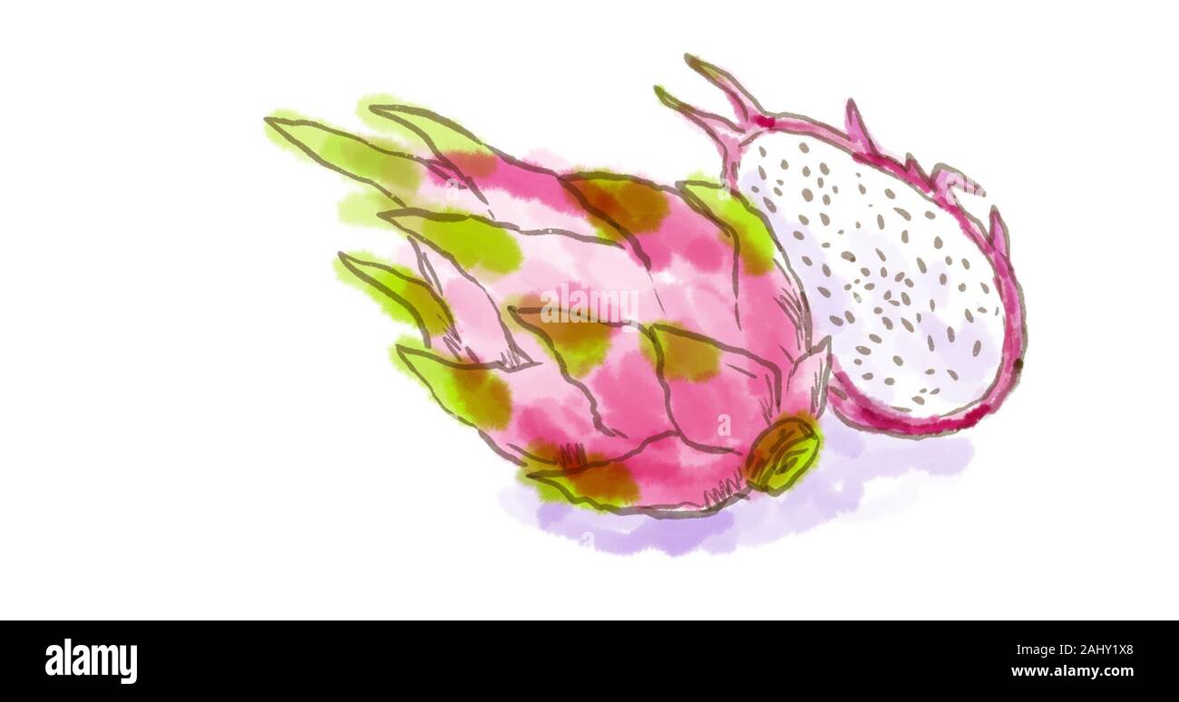 Featured image of post Dragon Fruit Drawing Images Every day new 3d models from all over the world