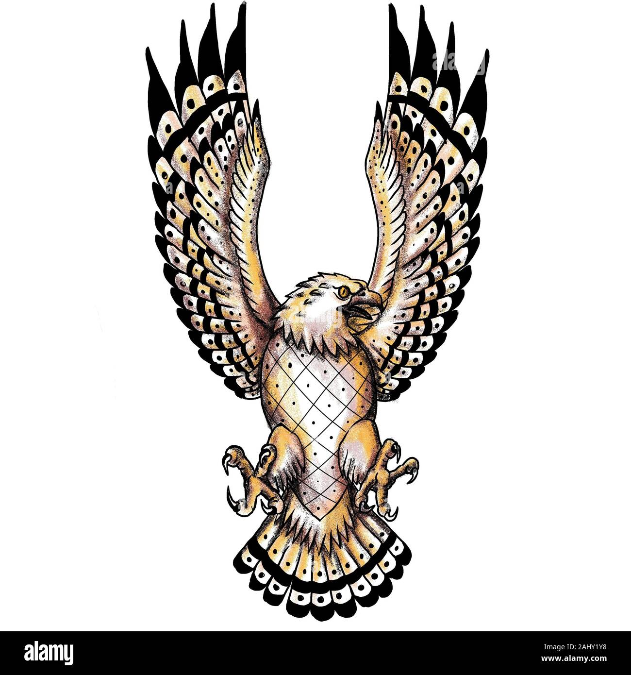 Tattoo style illustration of an osprey, Pandion haliaetus also