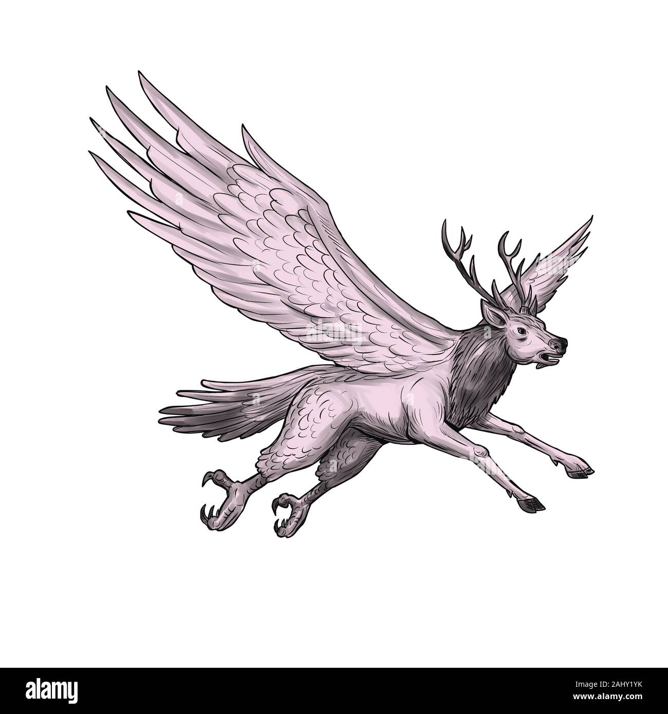 Tattoo style illustration of a Peryton, a Medieval European mythical creature with head, forelegs and antlers of a full-grown stag with the wings Stock Photo