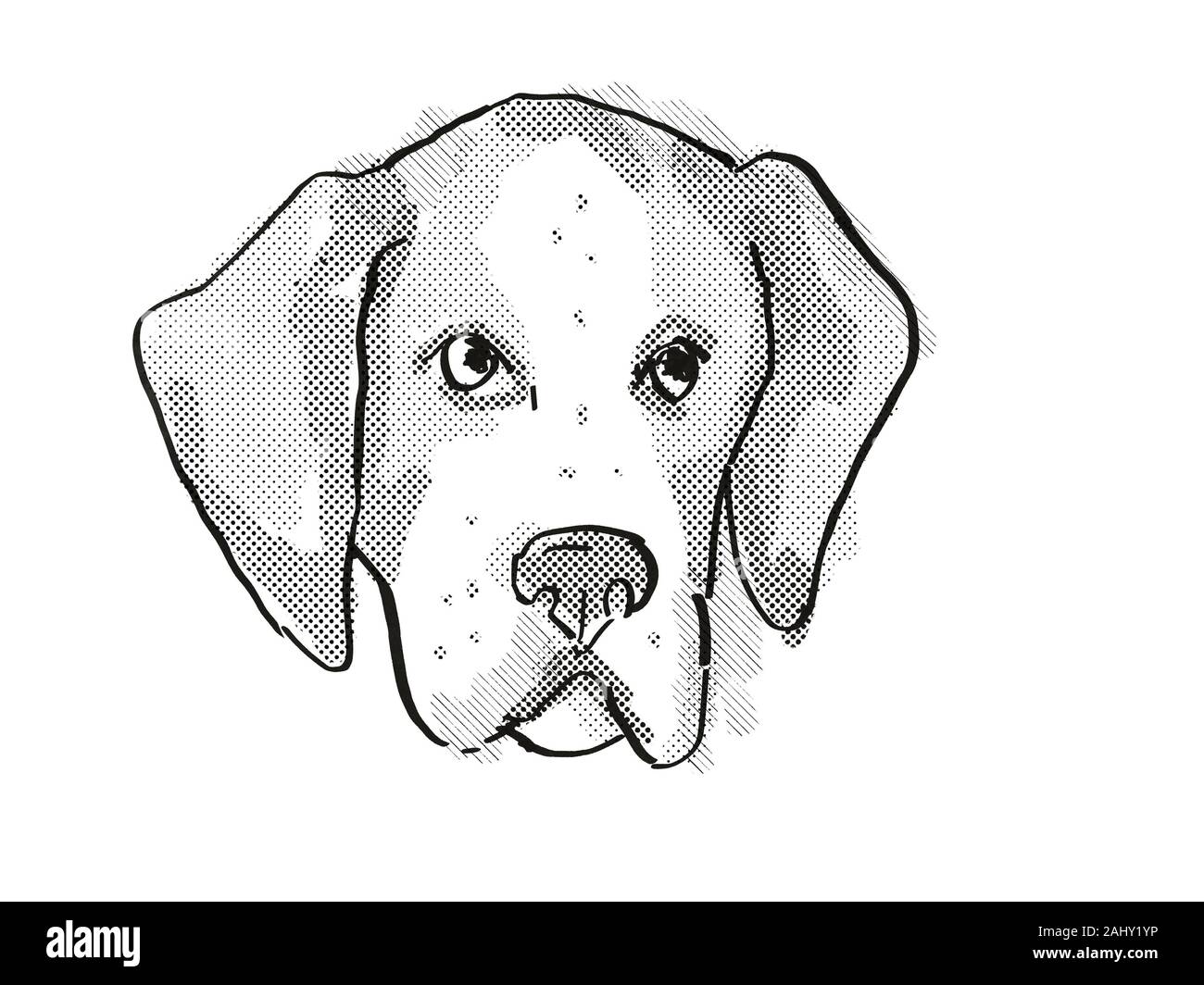 foxhound black and white