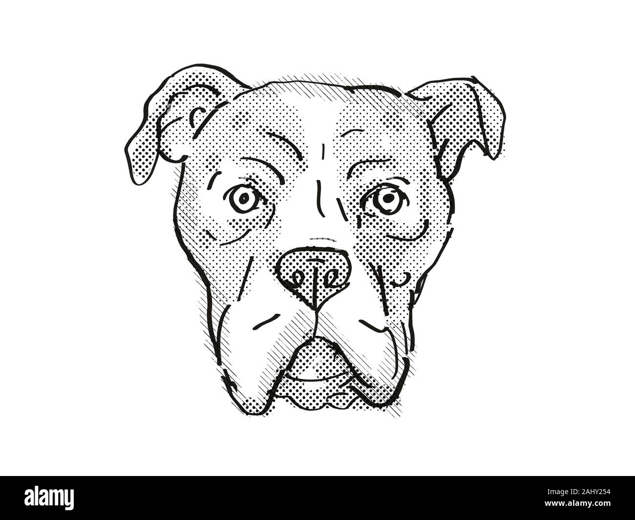 American dog breed hi-res stock photography and images - Alamy