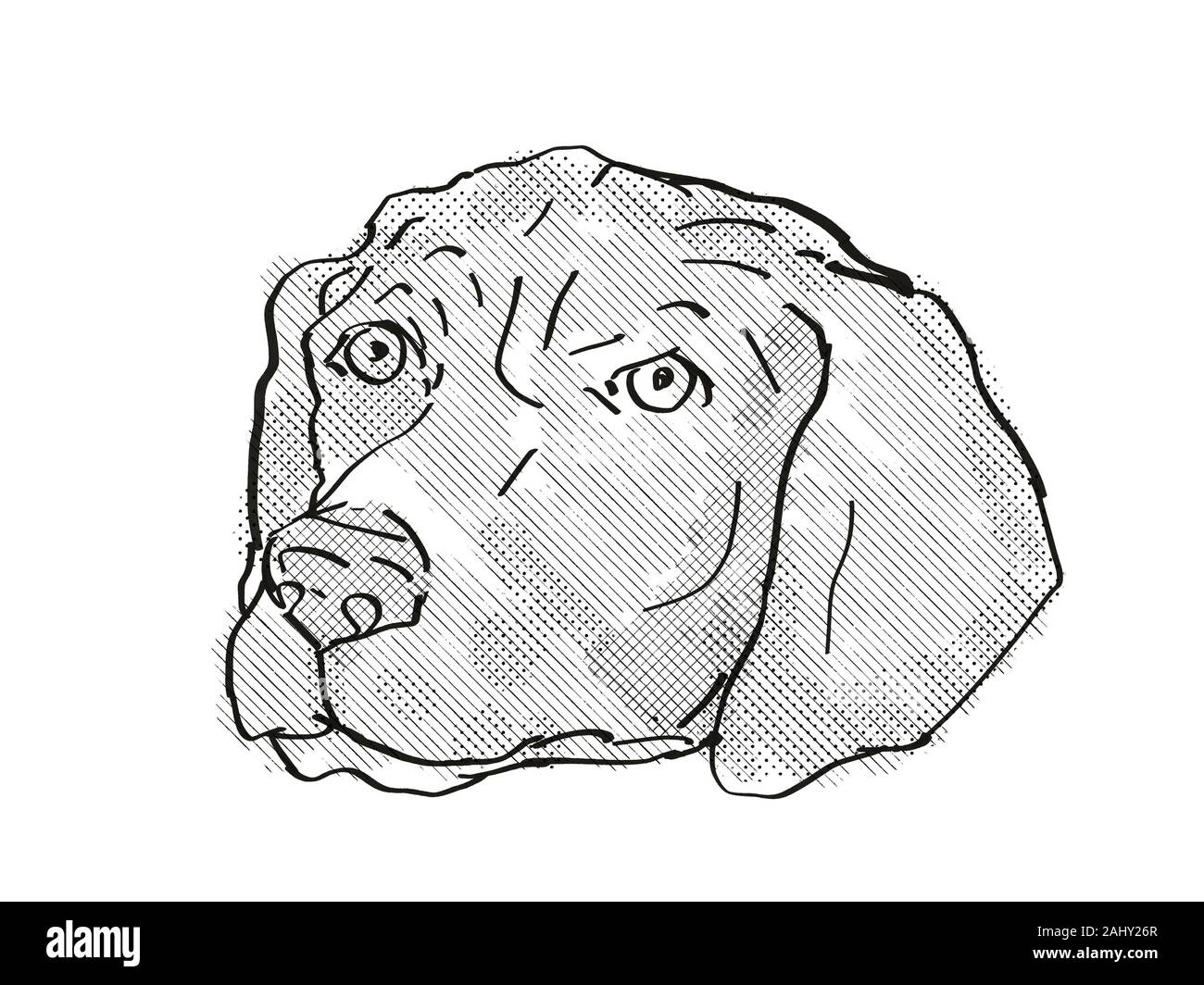 Retro Cartoon Style Drawing Of Head Of A German Shorthaired