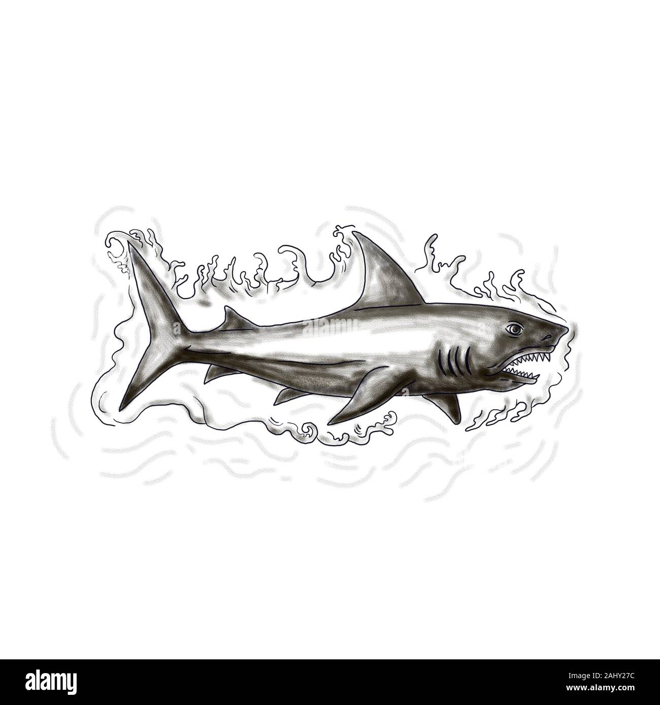 Illustrative Shark Tattoo