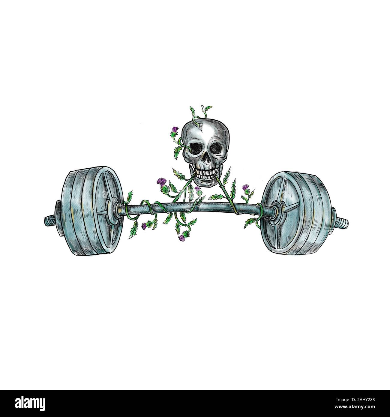 Tattoo style illustration of a skull lifting a heavy weight barbell with vine of Scottish thistle on isolated background. Stock Photo