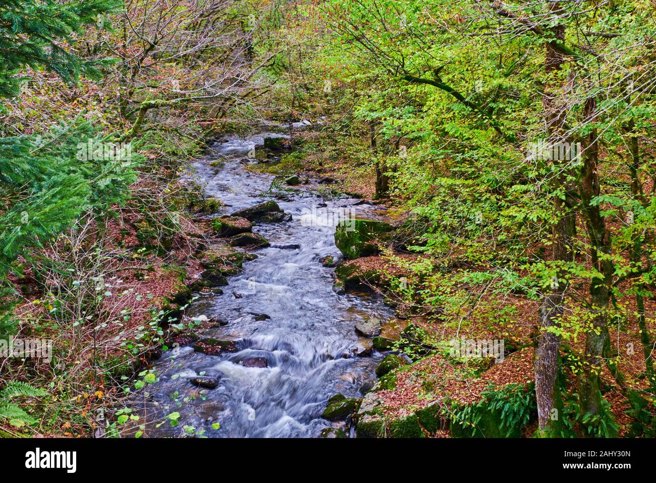 Cure Rivier The cure river hi-res stock photography and images - Alamy