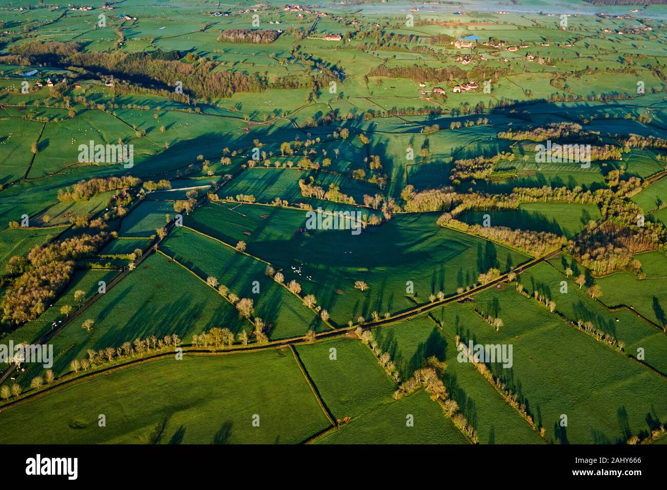 France, Burgundy, Saone et Loire, hedgerow landscape Stock Photo