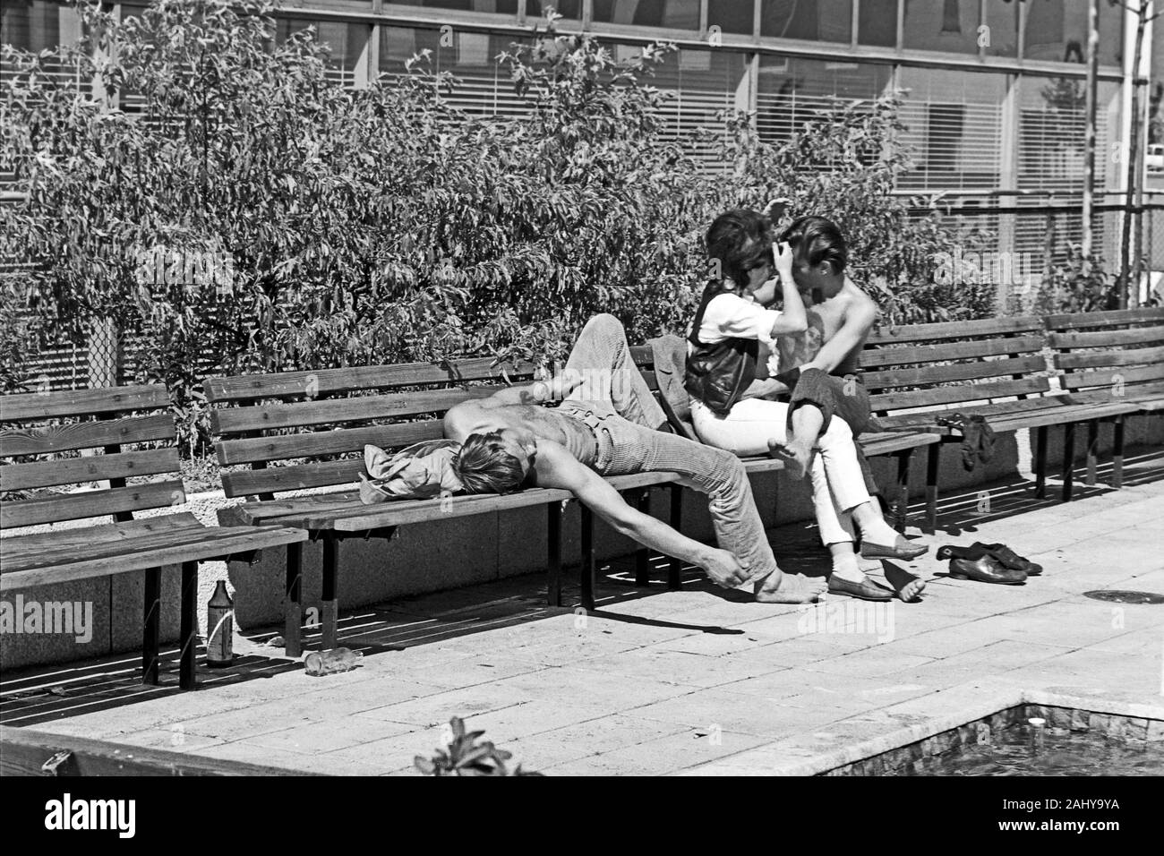 Idylle zwischen Stockholms Hochhäusern, 1969. Idyllic scenes amidst Stockholm's towers, 1969. Stock Photo