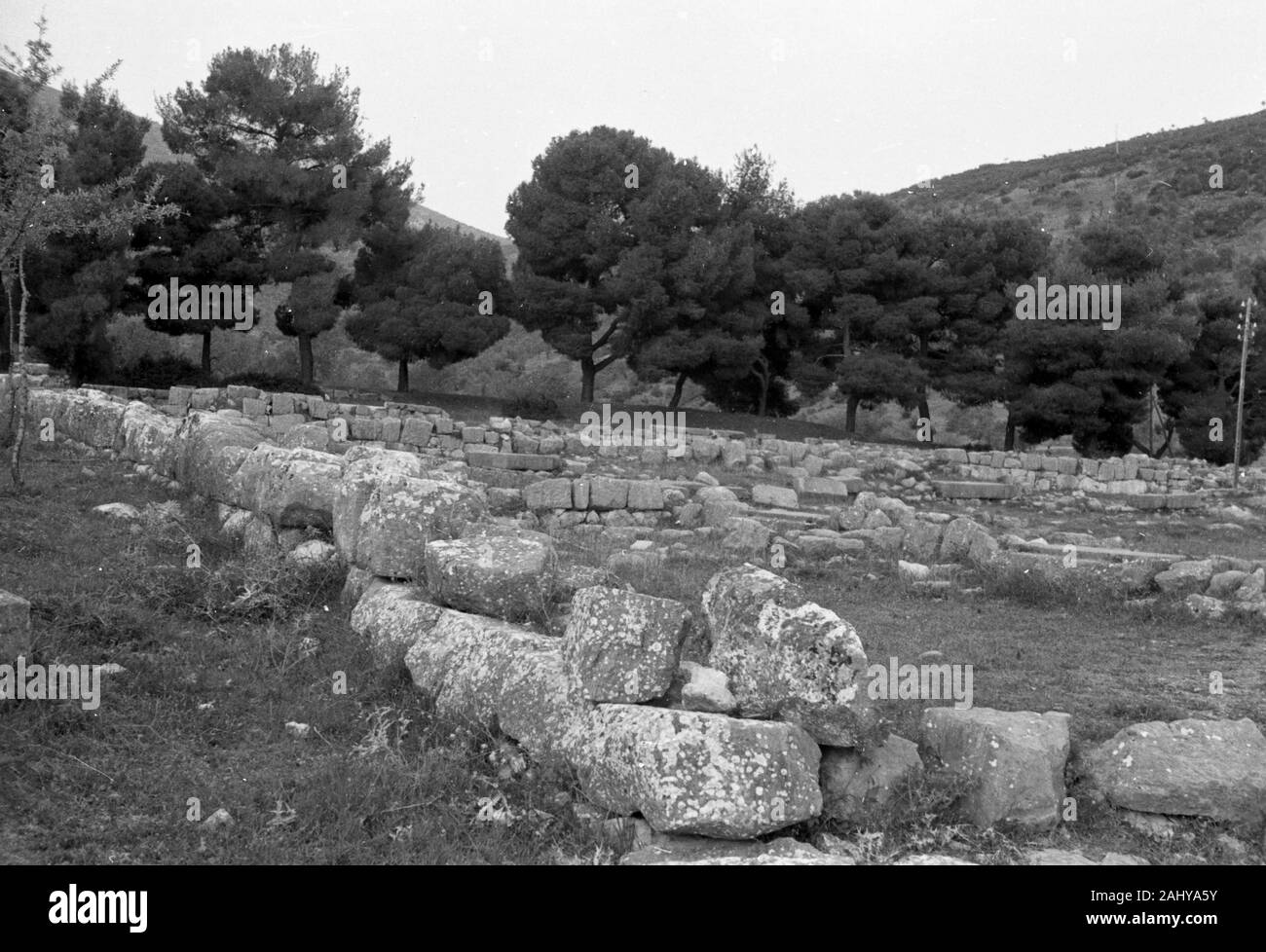 Touristentour durch die Ruinen des alten antiken Olympia, Griechenland 1950er. Tourist tour of the ruins of ancient Olympia, Greece 1950s. Stock Photo