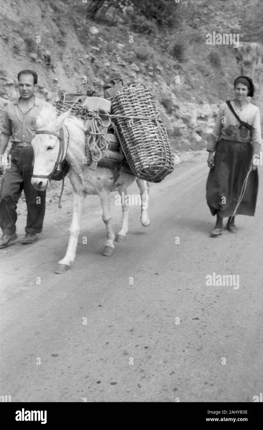 Einheimische mit vollgepacktem Pferd auf dem Weg zum Markt in Delphi, Griechenland 1950er Jahre. Locals with a packed horse on the way to the market in Delphi, Greece 1950s. Stock Photo