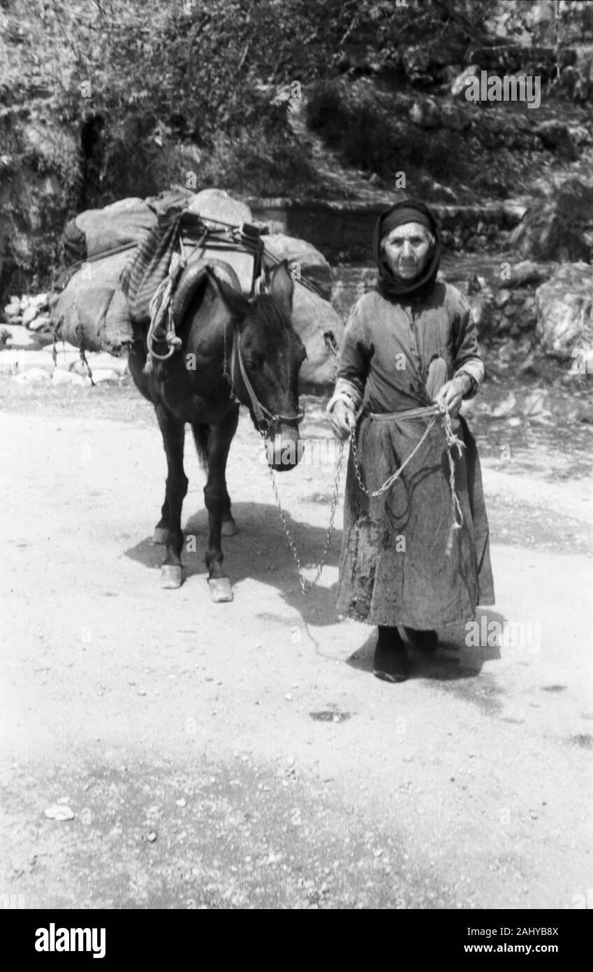 Eine Einheimische alte Frau mit vollgepacktem Pferd auf dem Weg zum Markt in Delphi, Griechenland 1950er Jahre. A local old woman with a packed horse on the way to the market in Delphi, Greece 1950s. Stock Photo