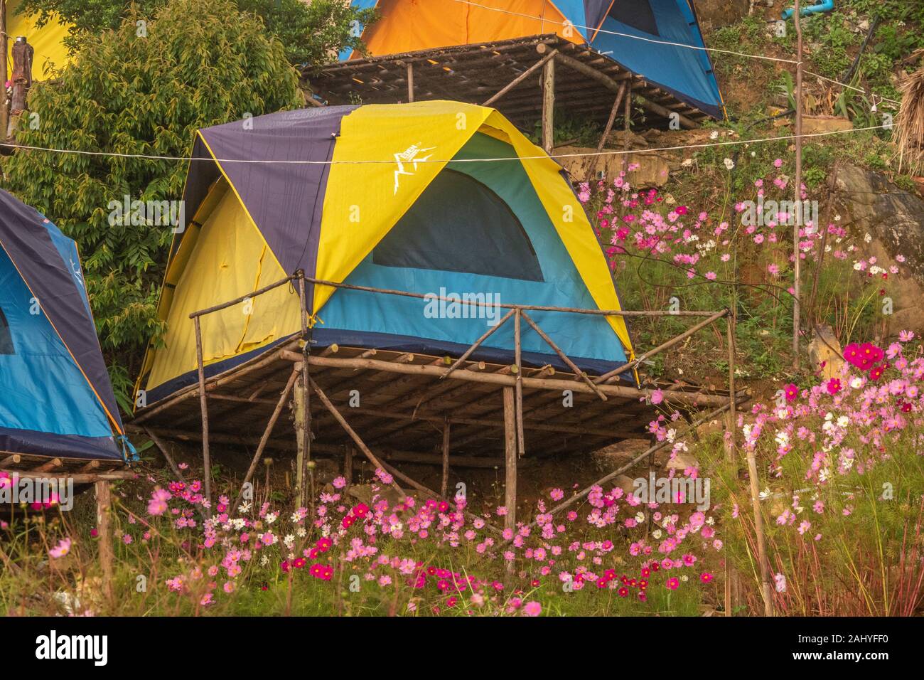 Tourist tent camping at Ban Noen, Khao Kho, Phetchabun, Thailand Stock  Photo - Alamy