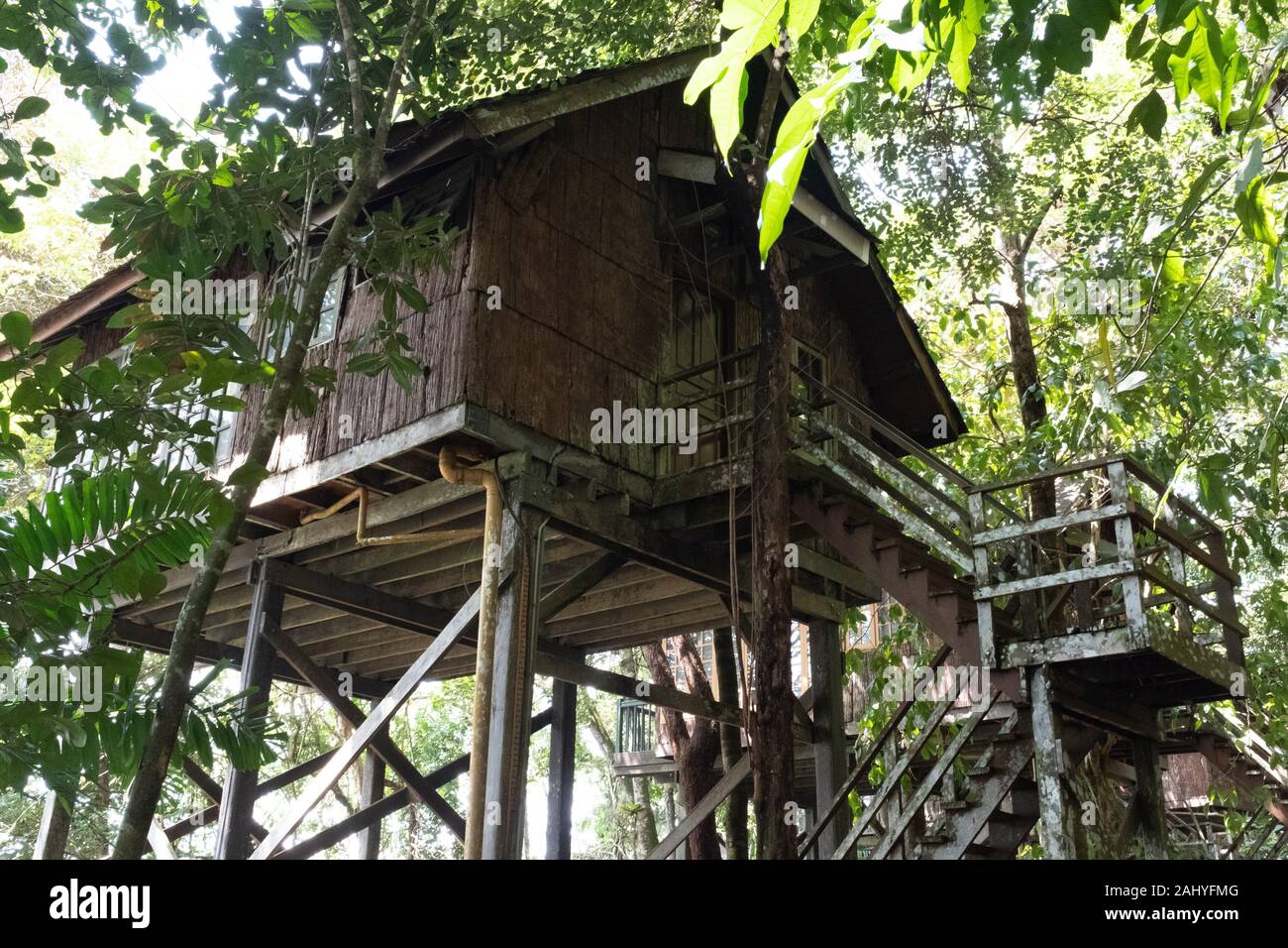 Tree House At Damai Rainforest Resort Sarawak Malaysia Stock Photo Alamy