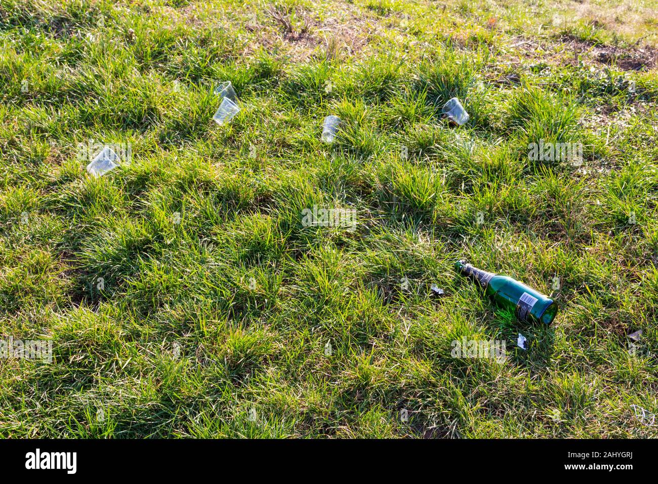 Empty bottle of champagne and plastic disposable single use glasses on grass after new years eve party Stock Photo