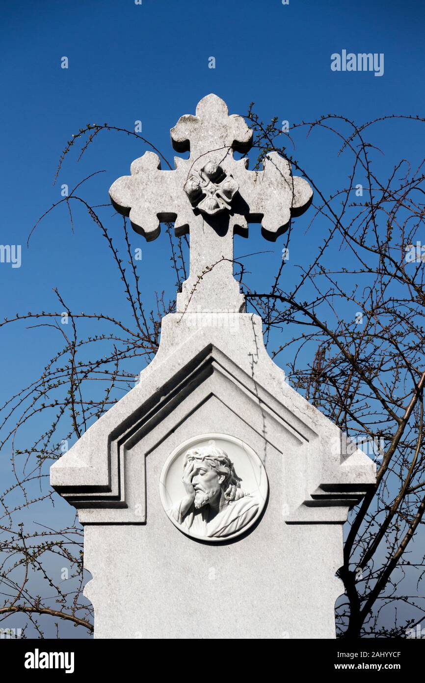 Beautiful Jesus Christ head on tombstone with runners from tree in background, cemetery on a sunny day with clear blue sky, new life and religion Stock Photo