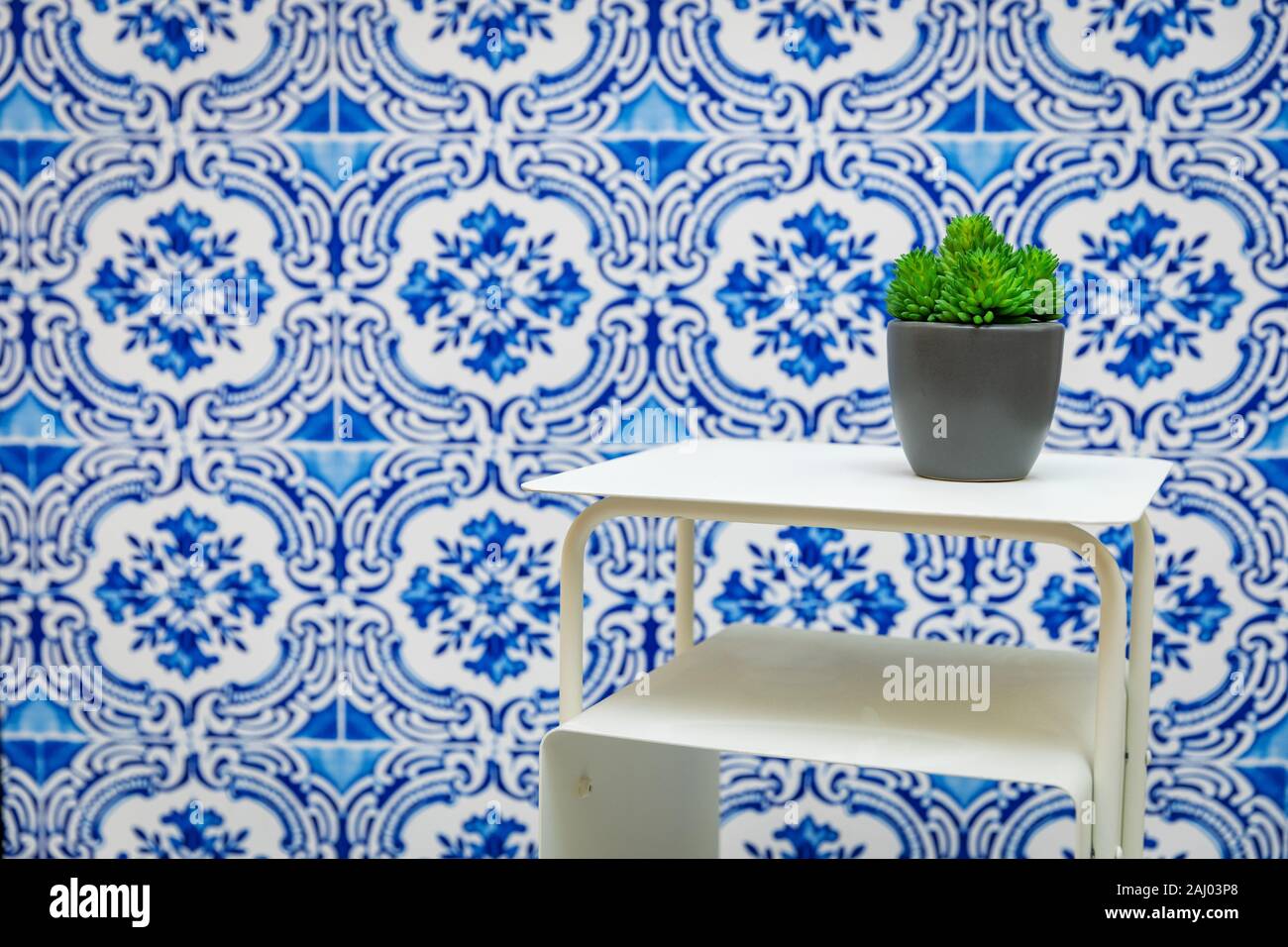 small white shelf with green plant on blue floral tiled wall background Stock Photo
