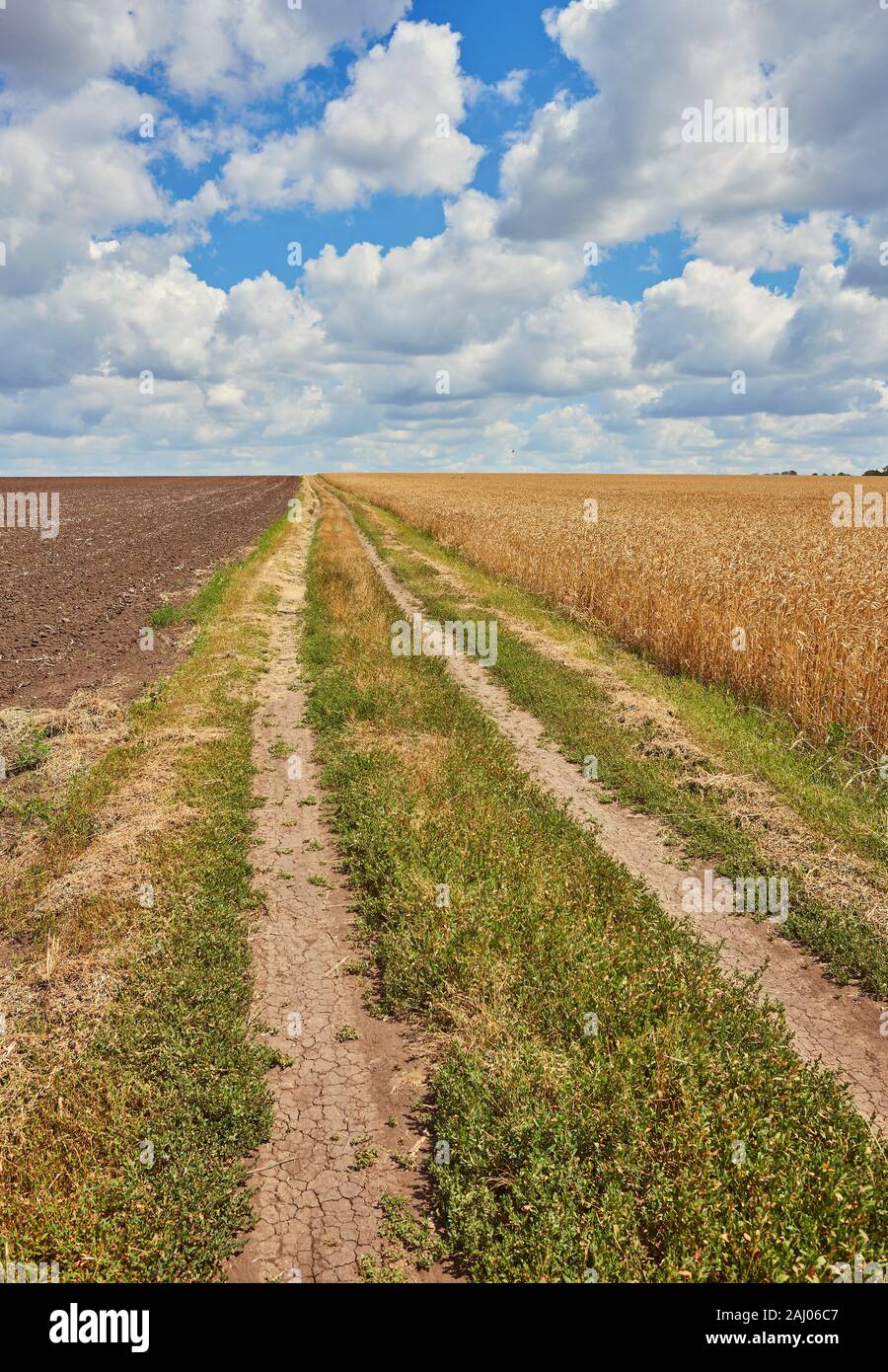 Valley through wheat fields hi-res stock photography and images - Alamy