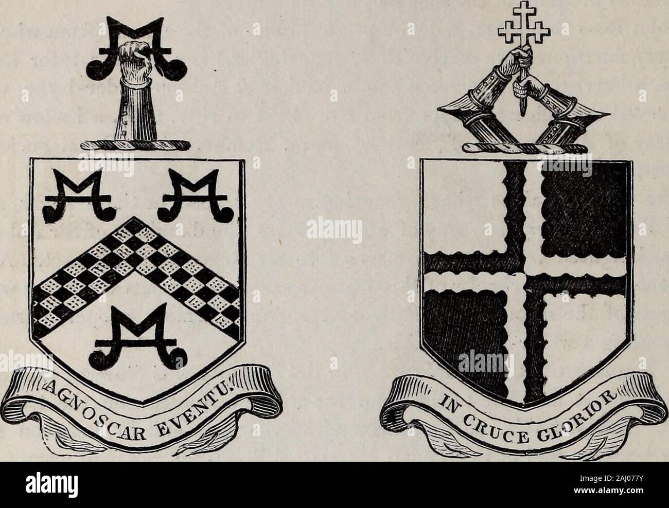 The Herald And Genealogist Eeky Argent And Sable Between Three Bears Heads Couped Of The Last Muzzled Gules Within A Bordure Nebulee Of The Third Crest Out Of Acoronet Or A Dexter