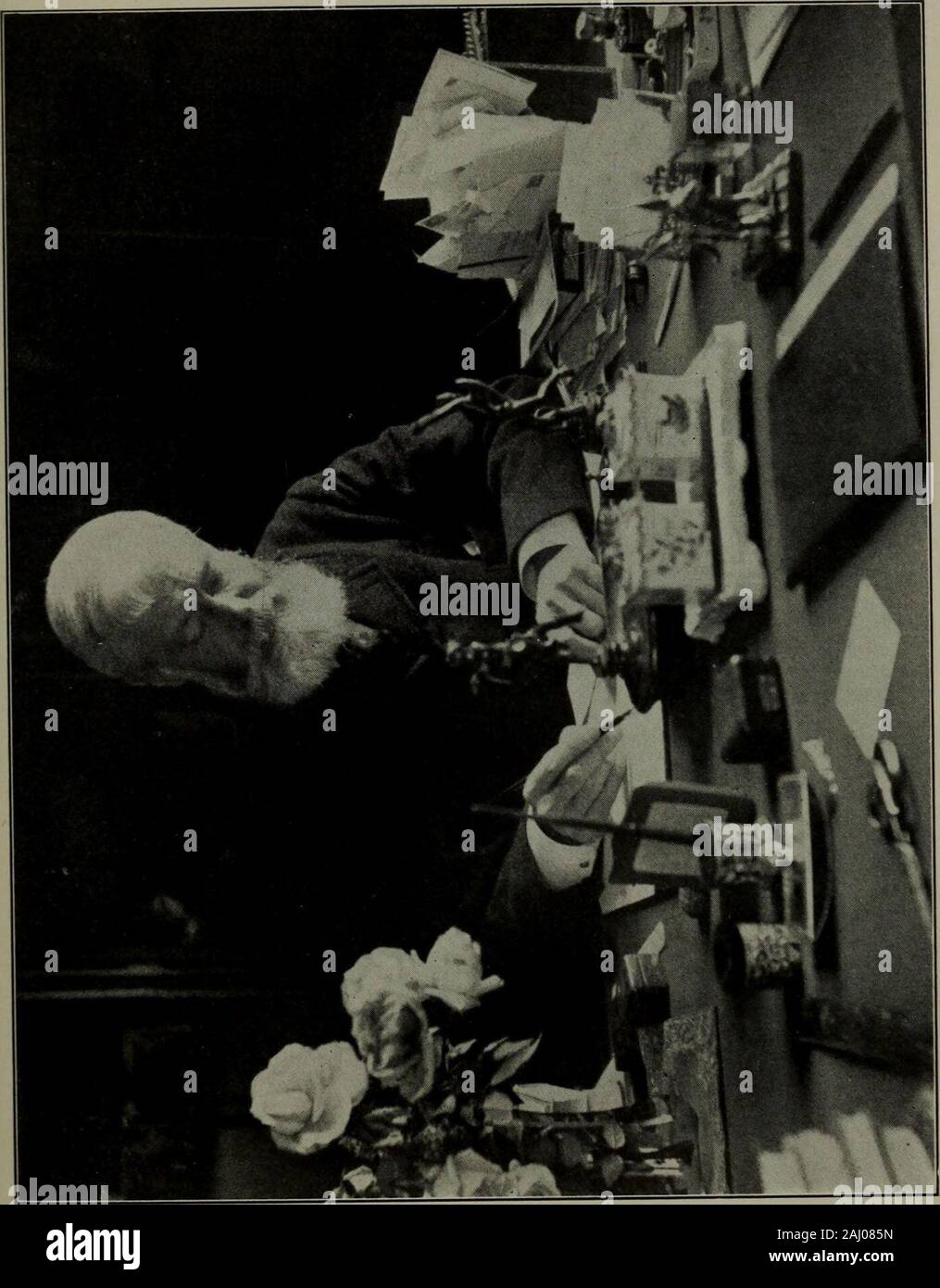 Willey studios emmie