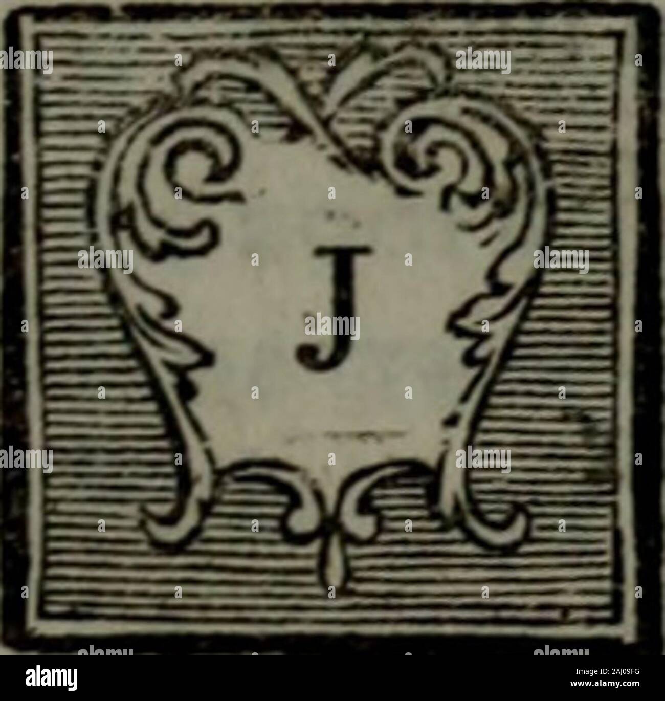 Jouri High Resolution Stock Photography And Images Alamy