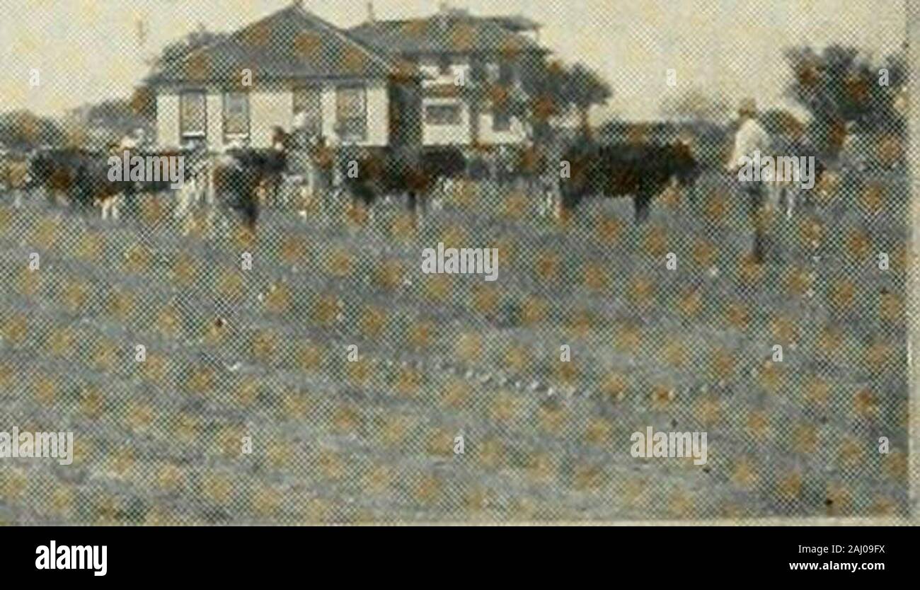 Our Presbyterian Educational institutions, [19131914] . Ei* i