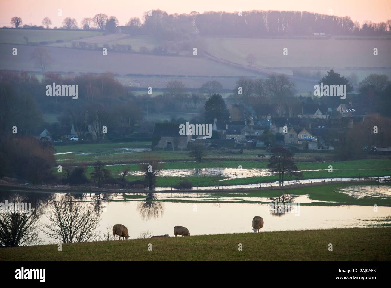 Sheep grazing at dusk above a flooded valley. Stock Photo