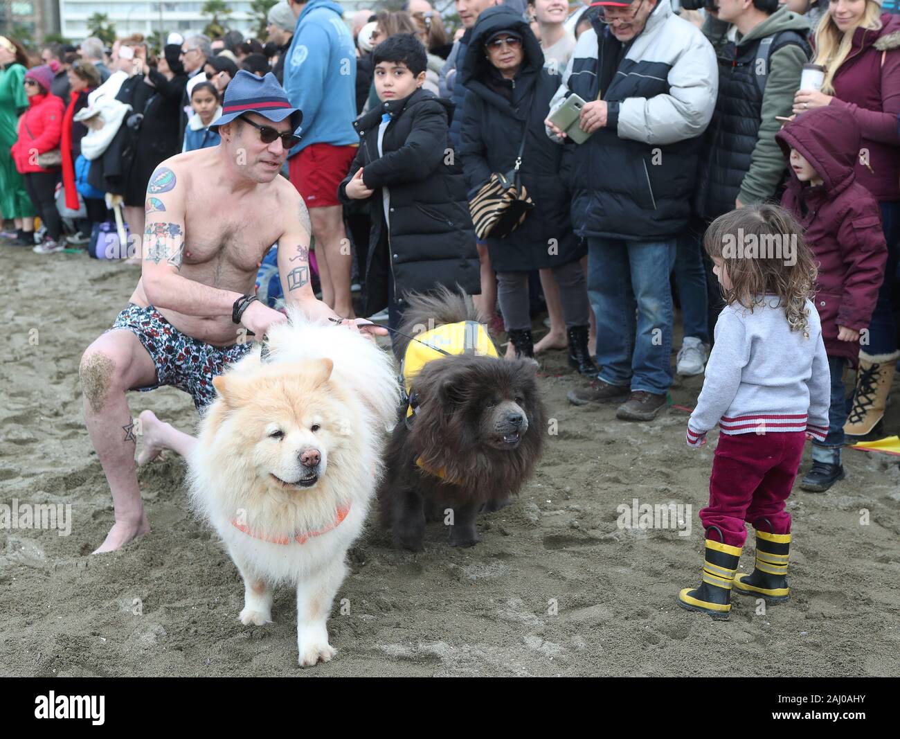 largest chow chow on record