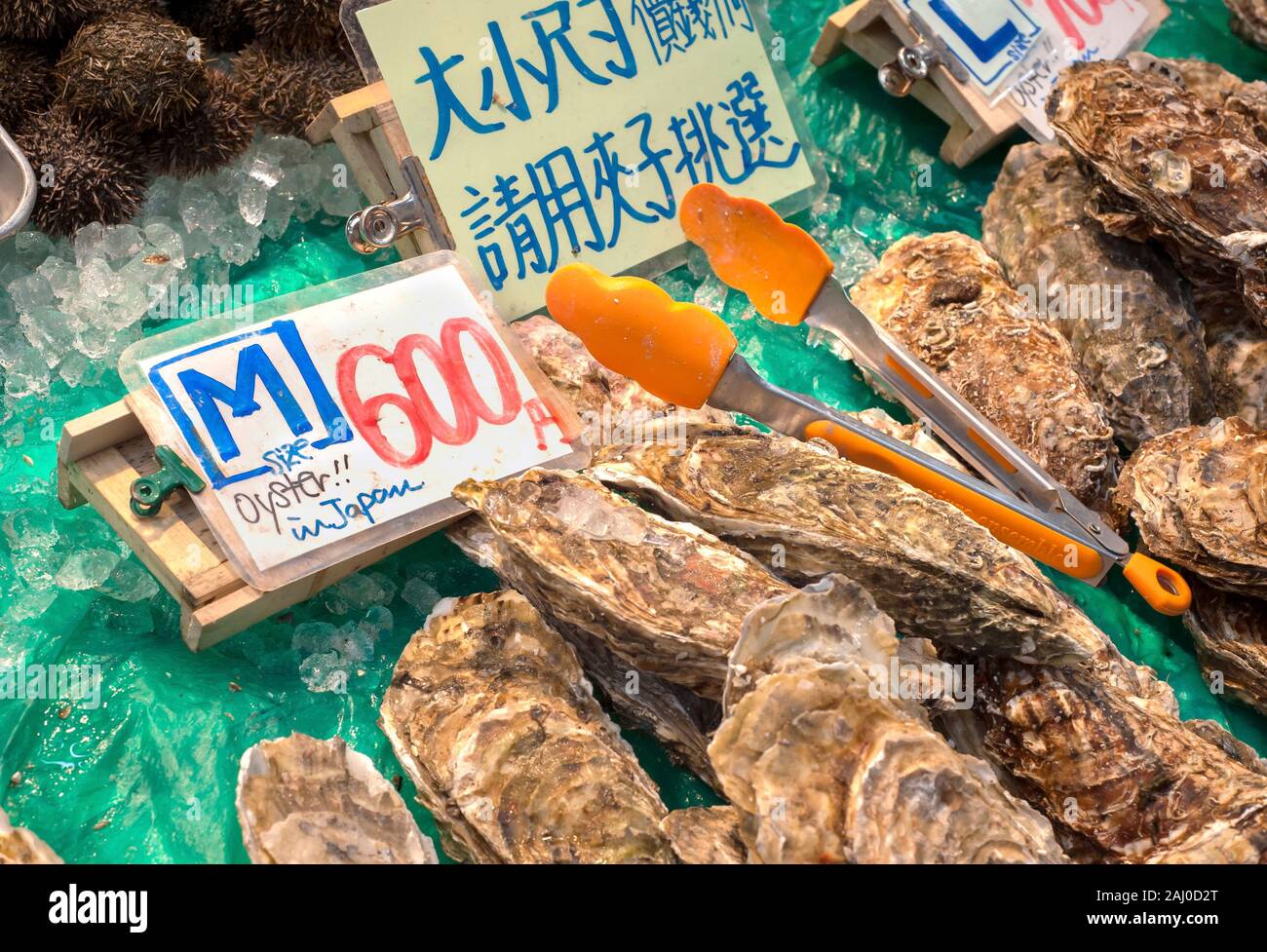 OSAKA, JAPAN - NOV 25, 2017 - Fresh oysters on sale at Kuromon Ichiba Market in Osaka, Japan Stock Photo